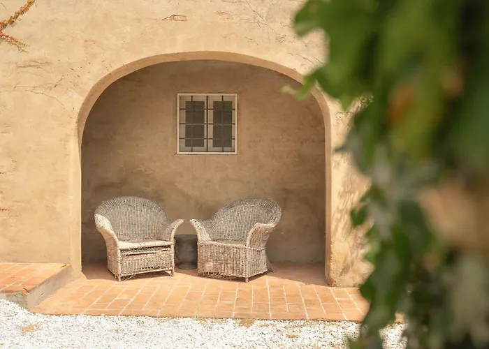 Centolivi 12 By Salogi Willa