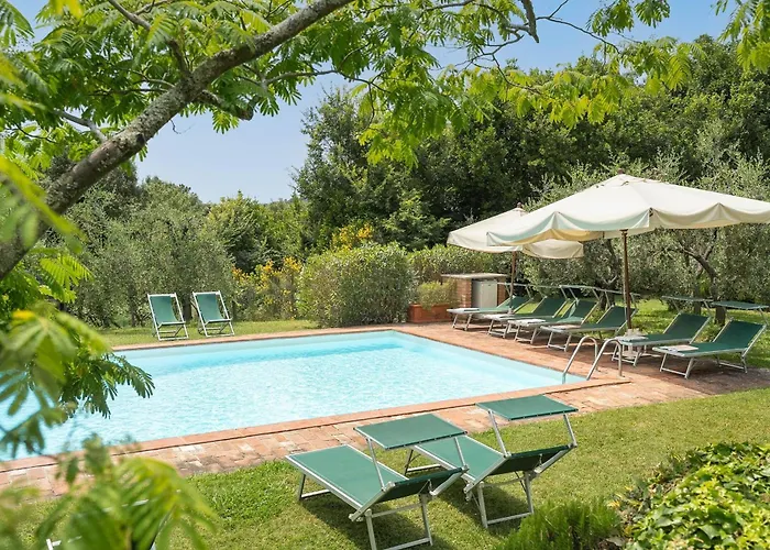 Centolivi 12 By Salogi